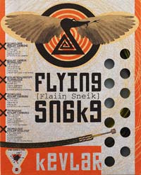 Flying Snake derailleur kit