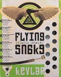 Transfil Flying Snake Brake Kit